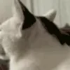 😱