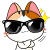 😎