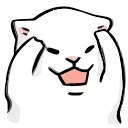 🐱
