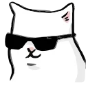 🐱