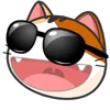 😎