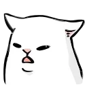 🐱
