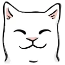 🐱