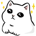 🐱