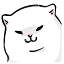 🐱