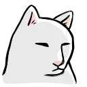 🐱