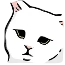 🐱