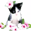 🐱