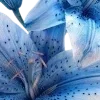 🛢️