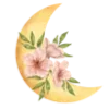 🌙