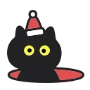 🐈‍⬛