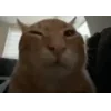 😺