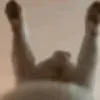 😺