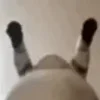 💃