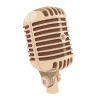 🎙