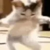 😺