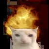 😺