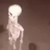 💀