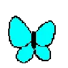 🦋