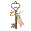 🔑