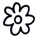 🌺