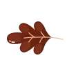 🍁
