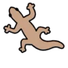 🦎