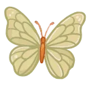 🦋