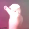 💃
