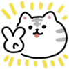 ✌