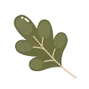 🌿