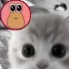 🥺