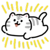 🐯