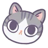 🐱
