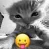 😛