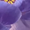 😀