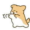 🐶