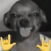🤟