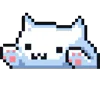 🐱