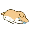 😭