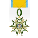🎖