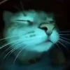 😌