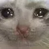 😭