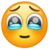 🥹