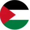🇵🇸