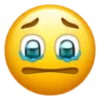 🥺