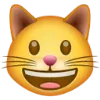 😺