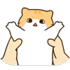 🐱