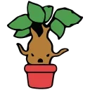 🌴