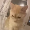 😡
